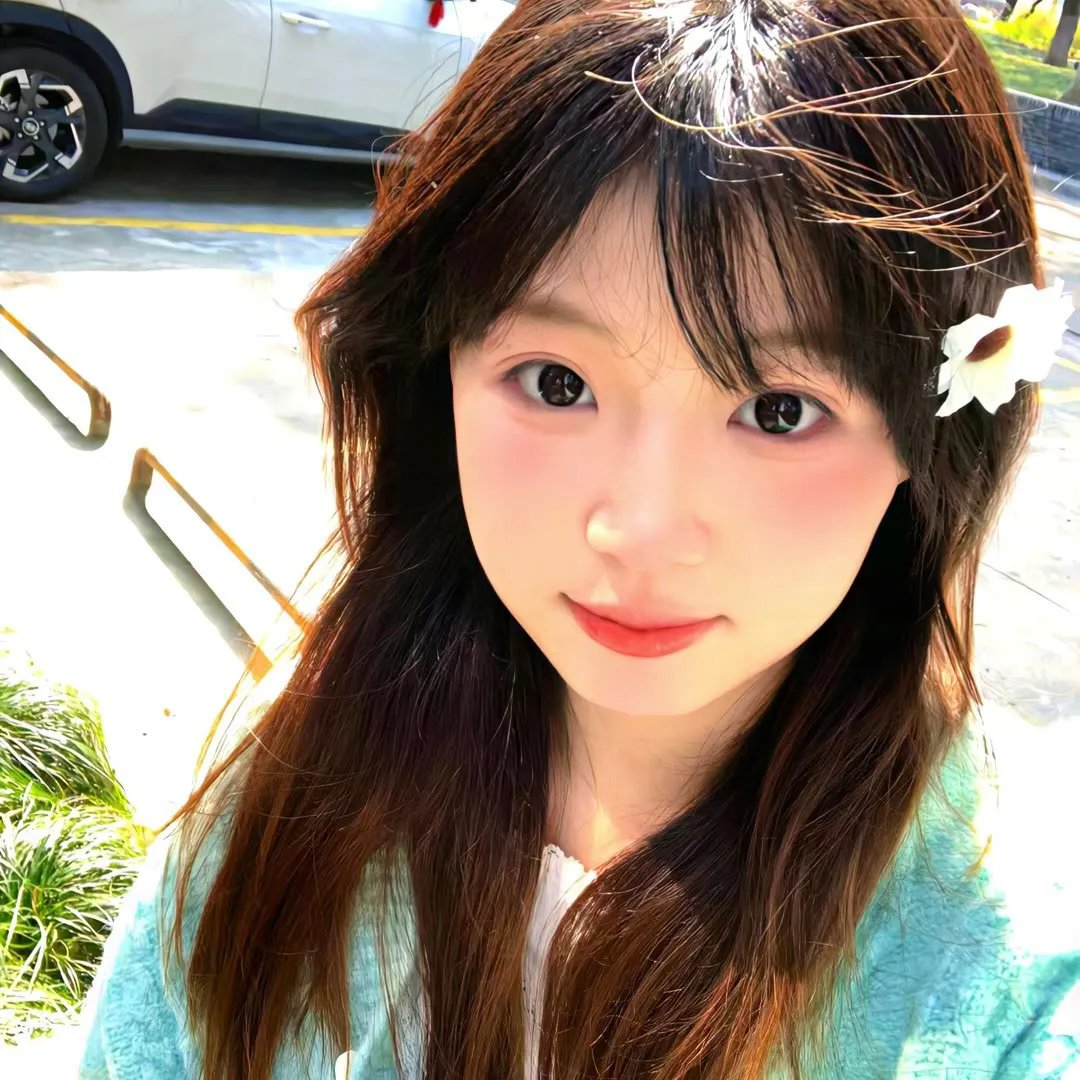 愤怒的蝴蝶